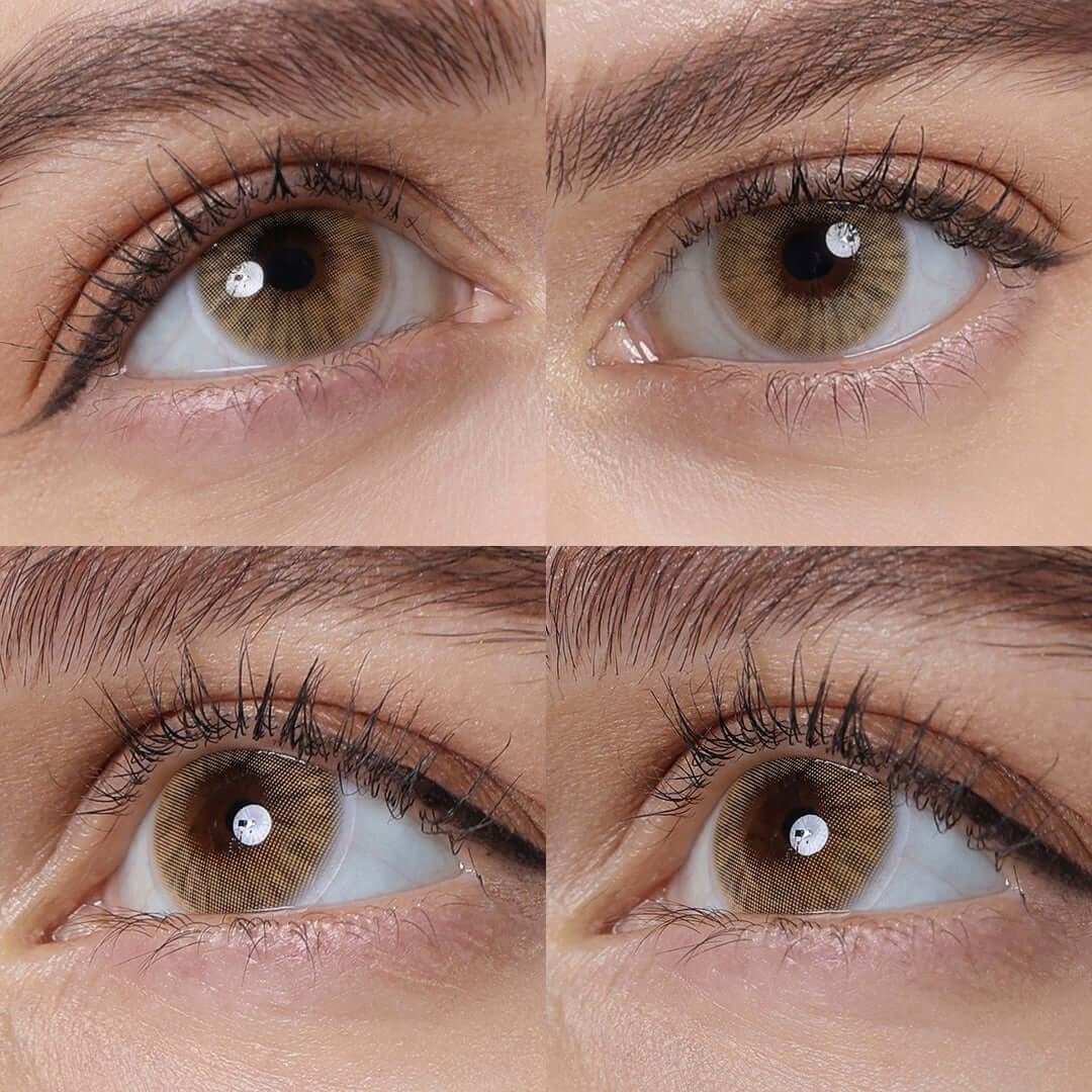 hazelnut contacts